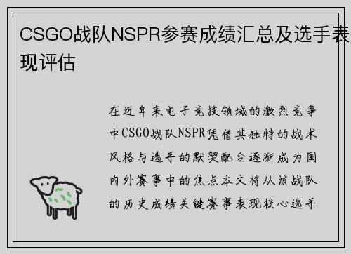 CSGO战队NSPR参赛成绩汇总及选手表现评估